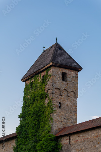 Old stone tower covered in green vines in the late afternoon light