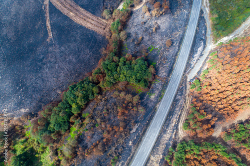 Obraz na plátně Aerial view of a road dividing a burned landscape and green trees The Concept of