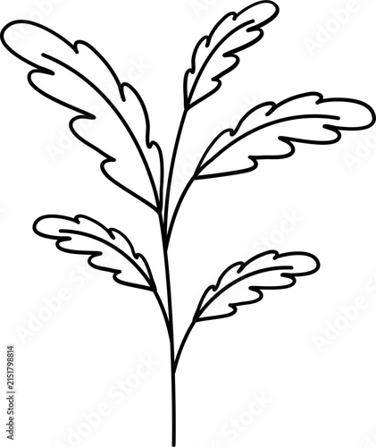 floral illustration