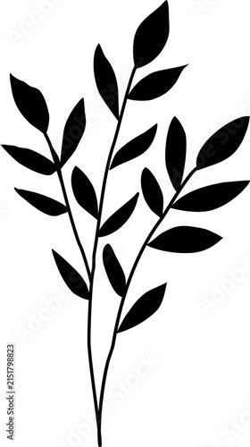 floral illustration