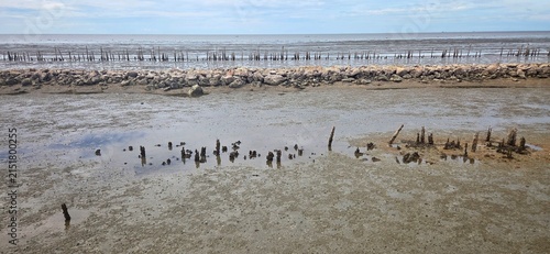 Rock Breakwater Barrier and Bamboo Wave Breaker Wall Built for Coastal Erosion Control Along Shoreline.