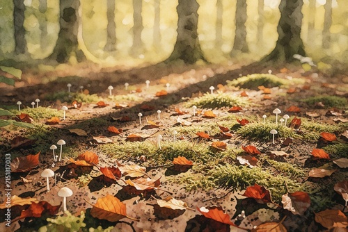 Close up of Small White Mushrooms Growing in Autumn Forest with Fallen Leaves
