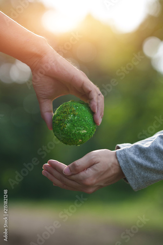 Hand Passing Moss Earth Globe for Sustainability and Environmental Care