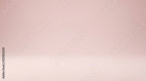 Soft blush pink seamless studio backdrop for elegant product photography and portraits
