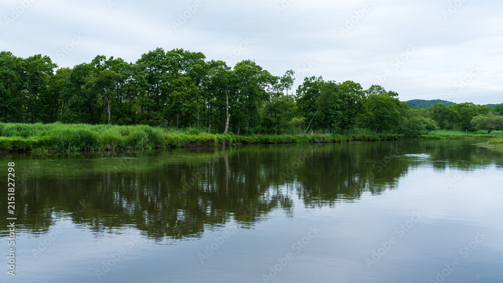 Fototapeta premium Quiet forest river reflecting trees in Kiritappu Wetland eastern Hokkaido