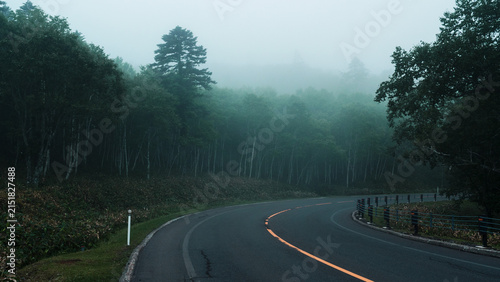 Konstfotografi Curving forest road disappearing into fog in Hokkaido