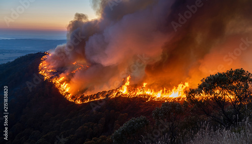 Wildfire burning through a forested hillside at sunset.