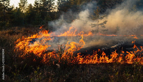 Wildfire burning through dry grassland with smoke rising in the background.