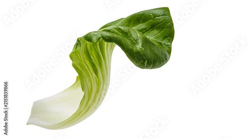 Konstfotografi Fresh bok choy leaf with water droplets