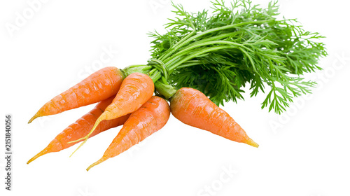 Obraz na płótnie Bunch of fresh orange carrots with green leafy tops
