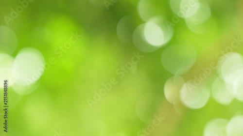 Glittering golden-green bokeh clusters dancing and flickering in wind, lively nature overlay