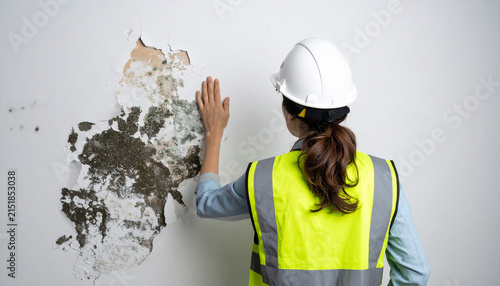 Engineer checking a wall with moisture damage, mold patches, and efflorescence