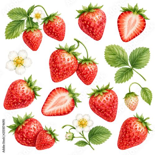 Watercolor Strawberry Collection with Fresh Fruit, Leaves and Flowers