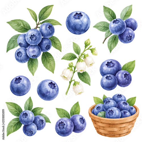 Watercolor Blueberry Collection with Fresh Berries, Leaves and Flowers