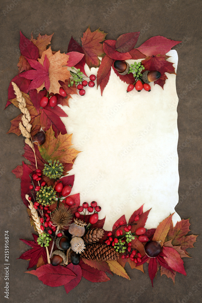 Fototapeta premium Autumn berries, vivid red maple leaves, grasses, symbols on parchment paper on brown grunge background. Fall nature design for Samhain Harvest festival. 