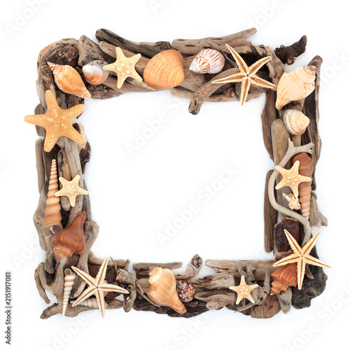 Starfish and sea shells driftwood frame on white background. Natural square shape design of coastal and beach art. Copy space. 
