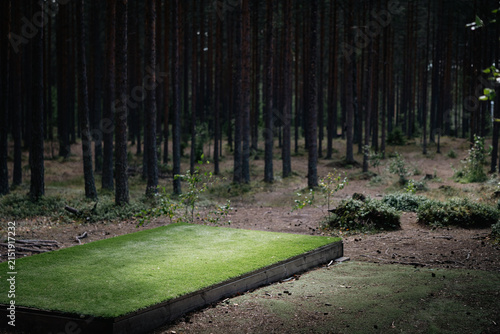disc golf teepad in woods