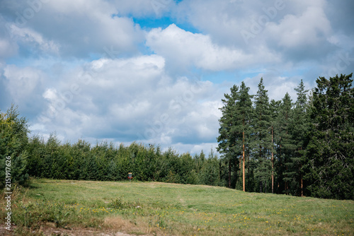 Disc golf fairway in Finland