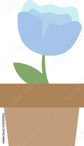 plant in a pot