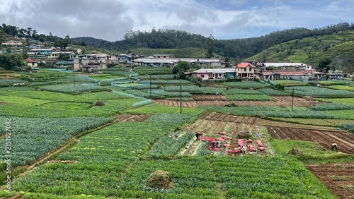 pekoe trail Sri Lanka nuwara elyia