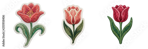 Three vibrant embroidered tulip flowers in pastel Isolated on a transparent background