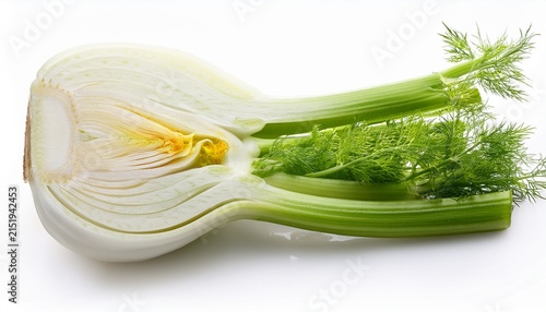 Fresh Fennel Bulb Cut In Half Showing White Crisp Layers And Green Fronds Isolated On White Background