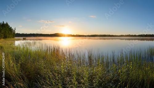 Panorama Of A Calm Northern Lake At Sunrise With Grass Close In The Foreground The Sky Is Transparent