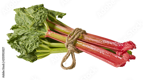 Fotografie Fresh Rhubarb Stalks with Green Leaves Tied with Twine
