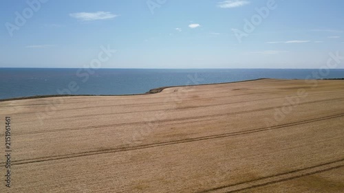 Drone aerial push forward shot of tractor tracks in golden agricultural fields Yorkshire