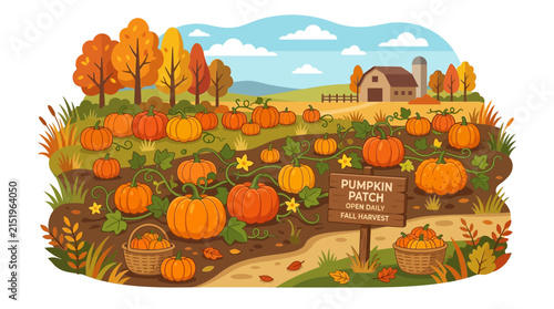 Autumn pumpkin patch vector illustration, rustic farm harvest landscape with barn, seasonal fall field with orange pumpkins and foliage