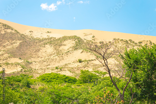 Canvastavla Sarykum Dune is the largest sand dune in Europe