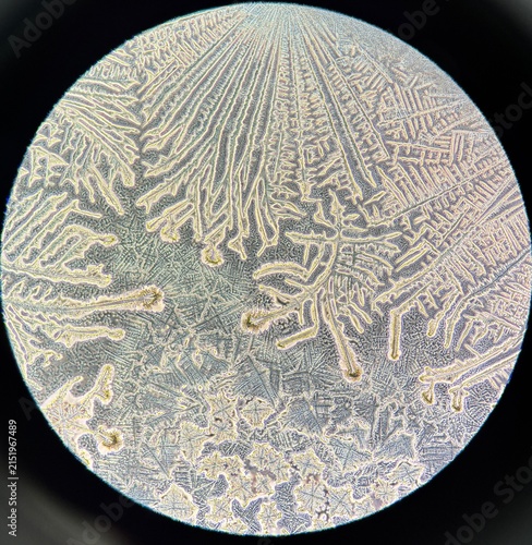 Obraz na plátne a crystallization of culture media under the inverted microscope