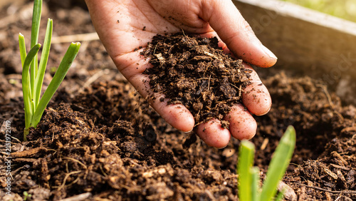 Hand holding compost shows soil health for regenerative agriculture