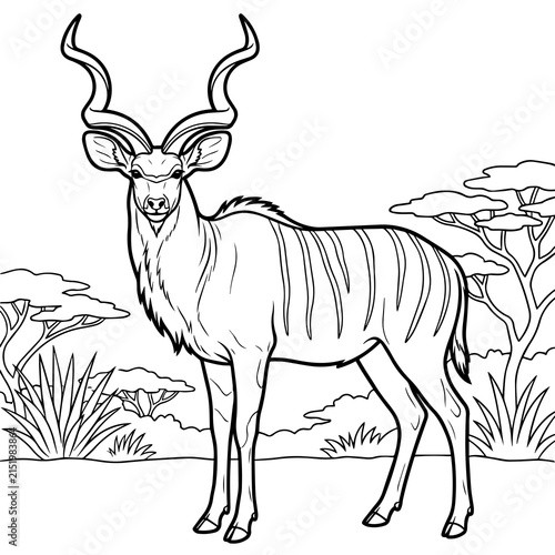 Photography A detailed black and white line of a greater kudu standing in a savanna landscap