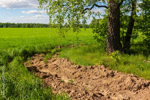 Fotografie Freshly plowed firebreak trench along the edge of a lush green meadow bordering