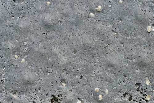 Bild auf Leinwand Abstract gritty texture of worn concrete with embedded shell fragments