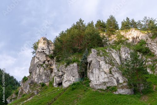 Fotografie Tall limestone formations rise above a green hillside covered with Scots pine Pinus sylvestris and mixed woodland, with a small cross visible on the summit