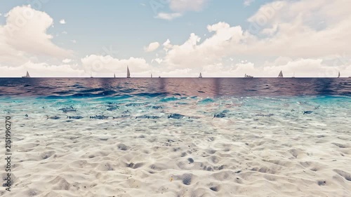 Turquoise Sea with Circling Fish and Sailboats