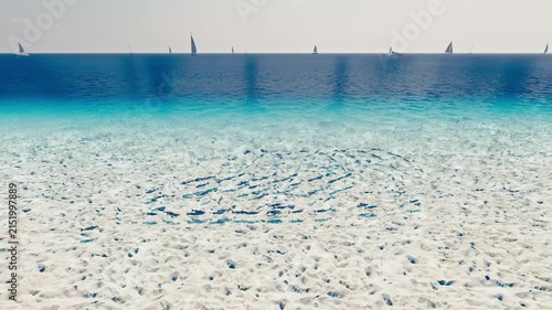 Tropical Turquoise Beach with Sailing Boats and School of Fish