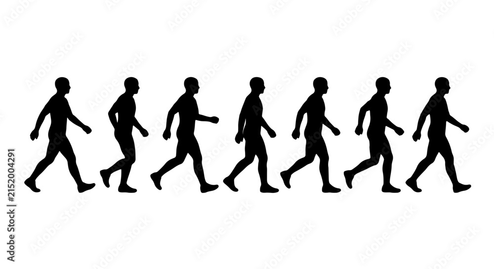 Obraz premium Silhouette Walking Animation Sequence, Human Figure Motion Steps, Male Figure Progression, Vector Graphic for Movement Concepts