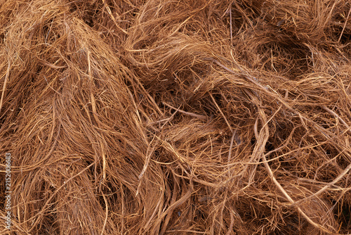 Detailed View of Tangled Natural Coconut Husk Fiber Material