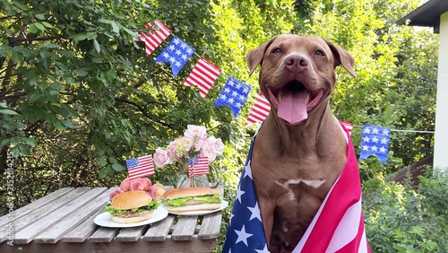 Fotografía Happy brown dog and American flags