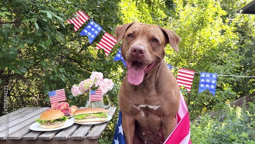 Bild auf Leinwand Happy brown dog and American flags