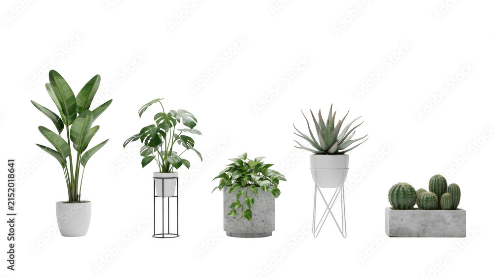 Fototapeta premium Set of various indoor house plants in modern pots isolated on white background.