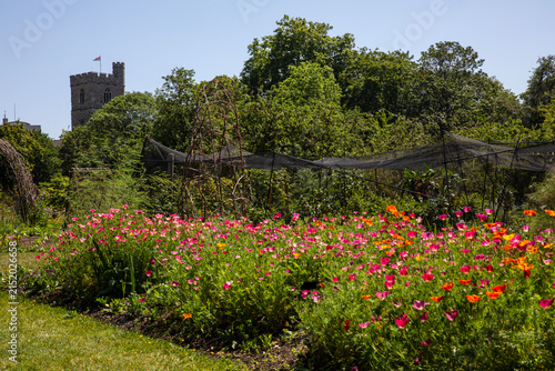 Photography Gardens at Fulham Palace in West London, UK