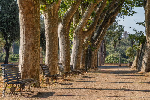 Photography Villa Borghese in Rome