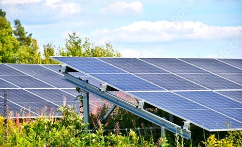 Obraz na plátne Photovoltaic modules, solar panels for generating renewable energy in the field