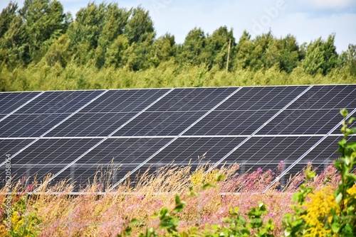 Foto Photovoltaic modules, solar panels for generating renewable energy in the field