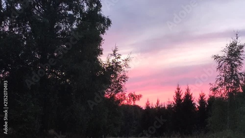 Serene twilight landscape with a low treeline silhouetted against a soft pink and purple gradient sky. 