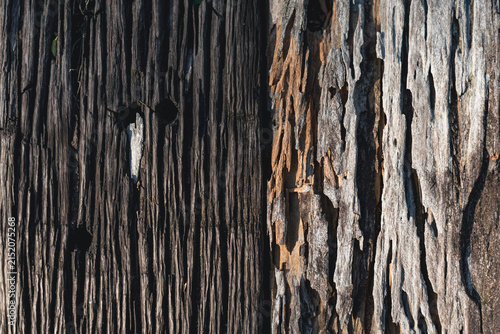 Bild auf Leinwand Abstract weathered wood surface featuring cracked, flaky and naturally eroded te